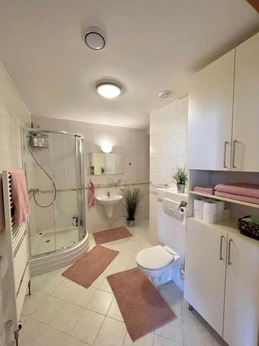 Appartement Utulny V Centru Pece Pod Snezkou 315 Trutnov