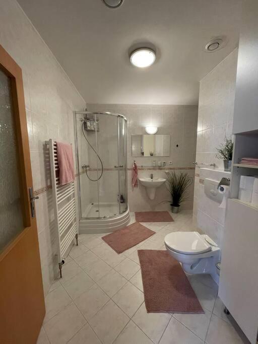 Utulny V Centru Pece Pod Snezkou 315 Appartement Trutnov
