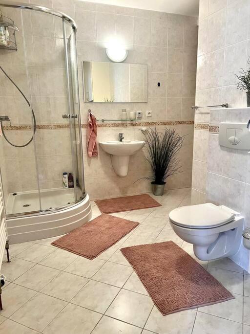 Appartement Utulny V Centru Pece Pod Snezkou 315 *